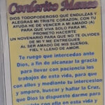 Cómo cultivar la mansedumbre del corderito en el amor: consejos prácticos como-cultivar-la-mansedumbre-del-corderito-en-el-amor-consejos-pr